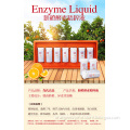 Enzyme essence liquid Food